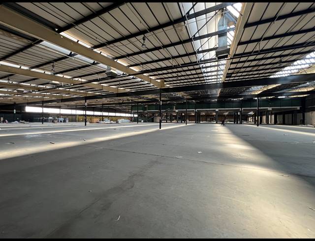 18,000M² FACTORY TO LET IN ROODEKOP
